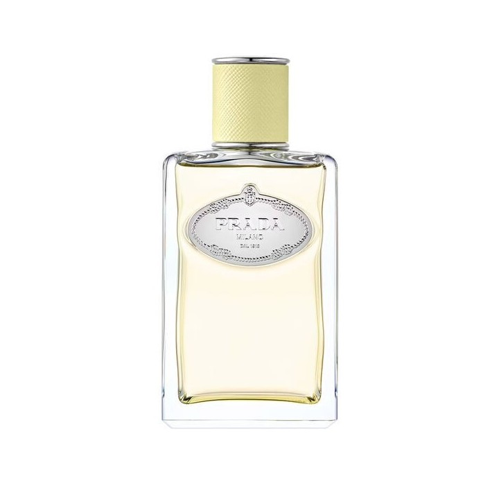 Prada - Infusion de Gingembre