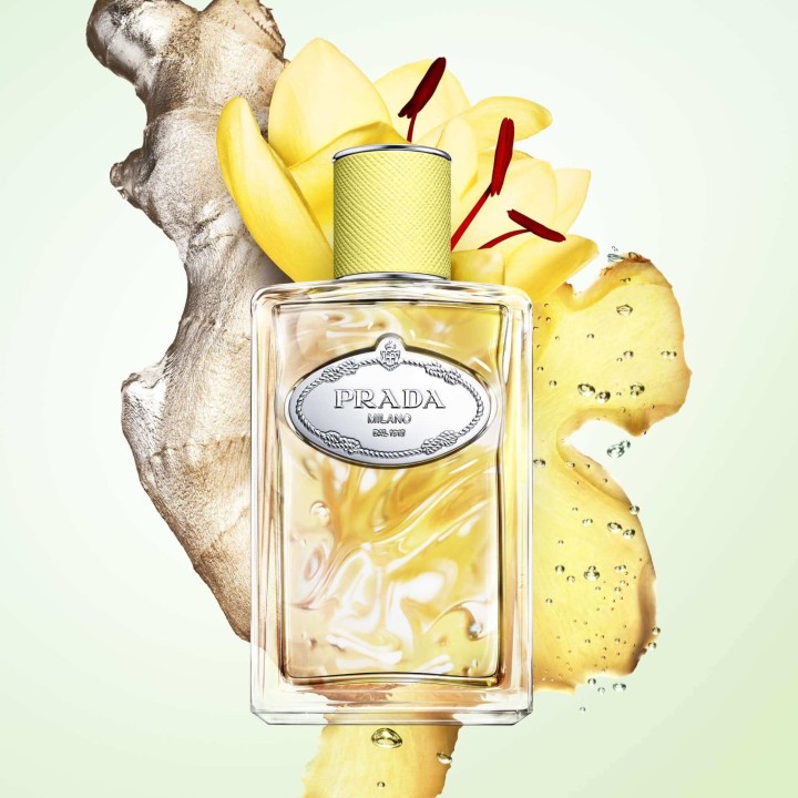 Prada - Infusion de Gingembre