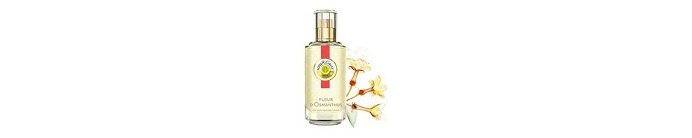 Fleur d'Osmanthus