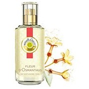 Fleur d'Osmanthus